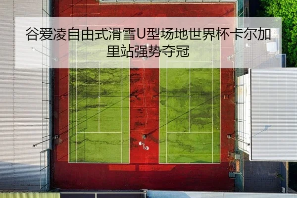 gu-ai-ling-zi-you-shi-hua-xue-xing-chang-di-shi-jie-bei-ka-er-jia-li-zhan-qiang-shi-duo-guan-2-537.jpg