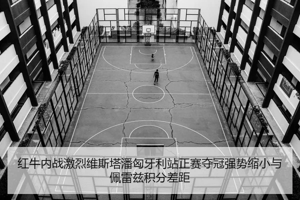 红牛内战激烈维斯塔潘匈牙利站正赛夺冠强势缩小与佩雷兹积分差距